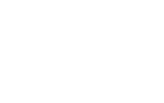 Digiverse Logo